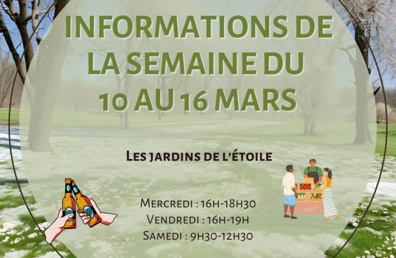 Les infos de la semaine! 🌟