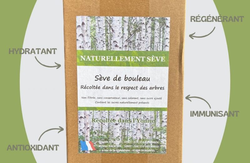 🌿 ZOOM SUR LA SÈVE DE BOULEAU🌿