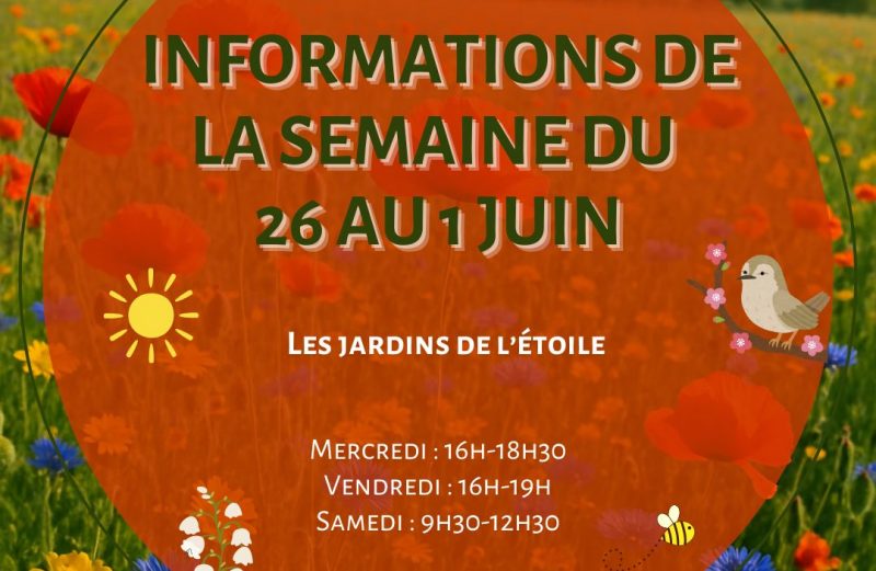 Les infos de la semaine du 26 mai au 1er juin 📅