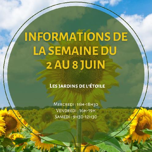 Les infos de la semaine du 2 au 8 juin 2025