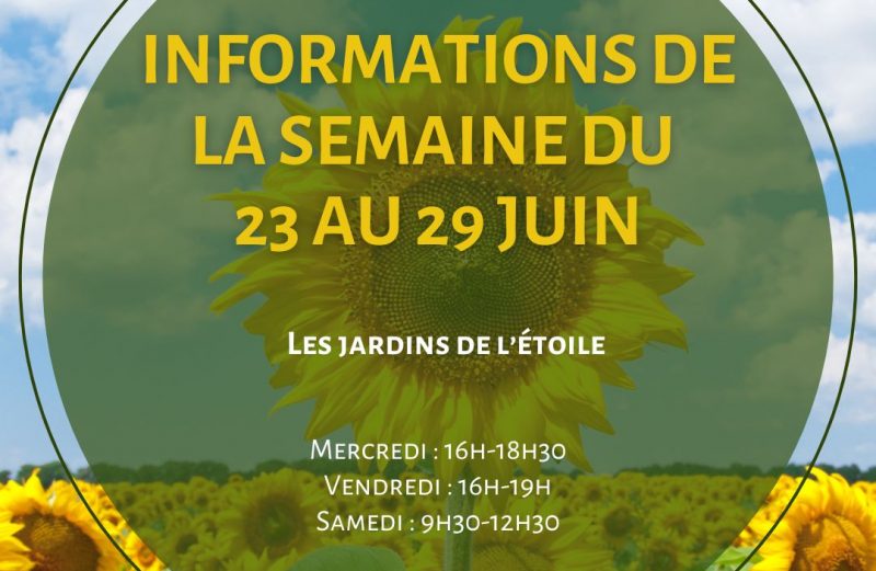 Les infos de la semaine du 23 au 29 juin 2025 📅