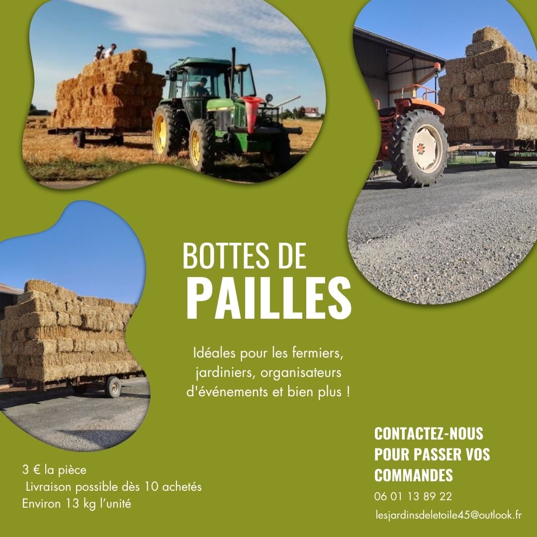 Copie de pailles réseau (1)